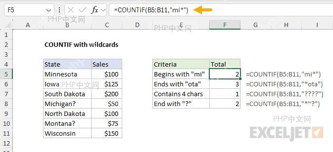 Excel COUNTIF 使用星号通配符进行文本模糊统计