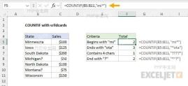 Excel COUNTIF 使用星号通配符进行文本模糊统计
