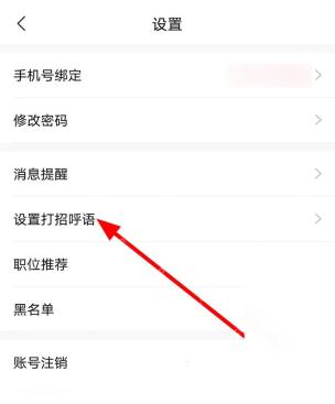 智联招聘怎么设置聊天开场白步骤2操作截图