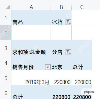 WPS数据透视表筛选商品后只显示冰箱销售额汇总