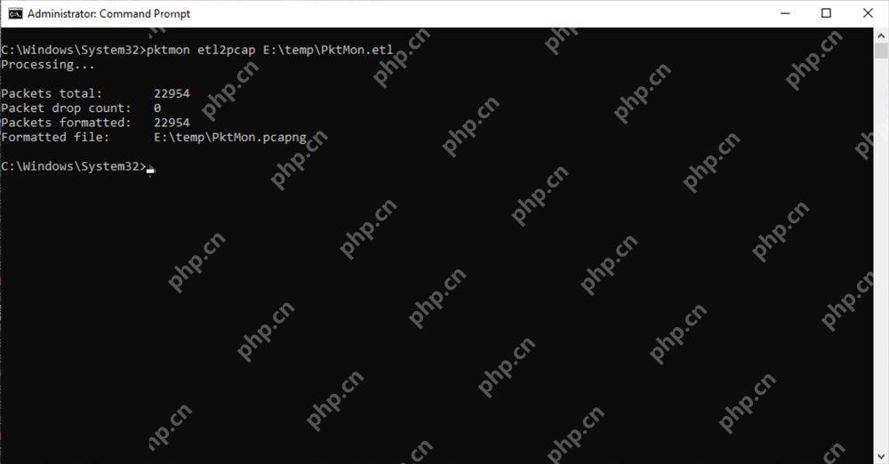 Windows 11 停止采集并转换为 PCAPNG的真实界面截图