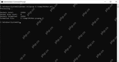Windows 11 停止采集并转换为 PCAPNG的真实界面截图