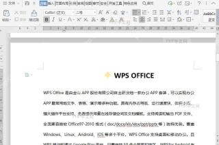 如何自定义文档项目符号？结果检查