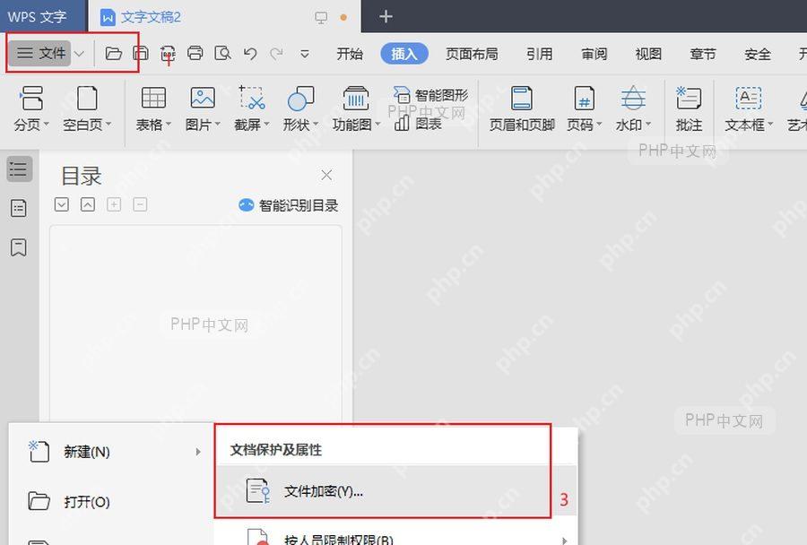 WPS 文件菜单中文件信息和文件加密入口