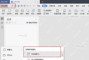 WPS 文件菜单中文件信息和文件加密入口