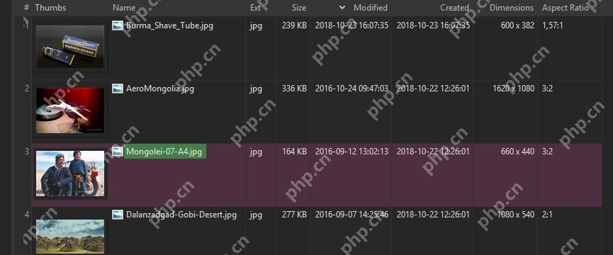 XYplorer 缩略图详情视图显示图片预览