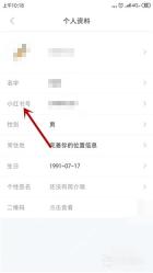 小红书个人资料页小红书号入口，用于修改小红书号