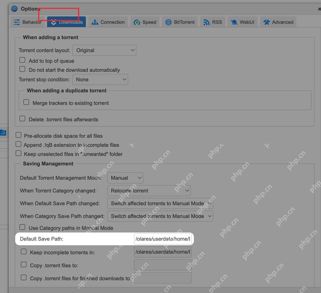 qBittorrent 设置窗口中 Downloads 选项卡被选中，用于进入默认保存路径设置