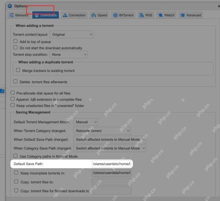 qBittorrent怎么设置默认下载目录