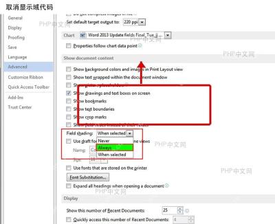 Word 选项高级设置里取消显示域代码的界面,红框标出对应复选框