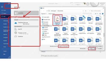 Word 打开页面和文件选择窗口中选中 PDF 文件,用于准备转换 PDF 内容