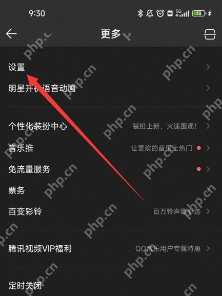 QQ音乐更多页面设置入口