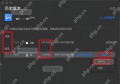 右键点击文件并选择‘历史版本’选项