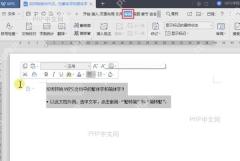 进入 WPS 文字审阅选项卡查看简繁转换入口