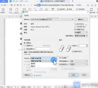 Word如何手动双面打印文档设置效果