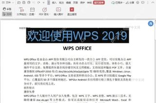 如何对PDF文档的填写表单和注释功能加密?结果检查