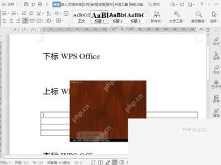 选中 WPS 文档中的图片并显示图片工具