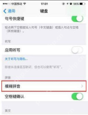 iPhone键盘页面进入模糊拼音
