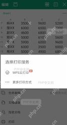 如何打印表格结果检查