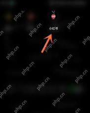 小红书 APP 功能操作界面
