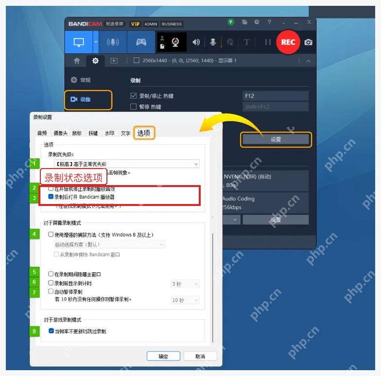 Bandicam Windows 录像选项页中的录制后播放和自动暂停设置