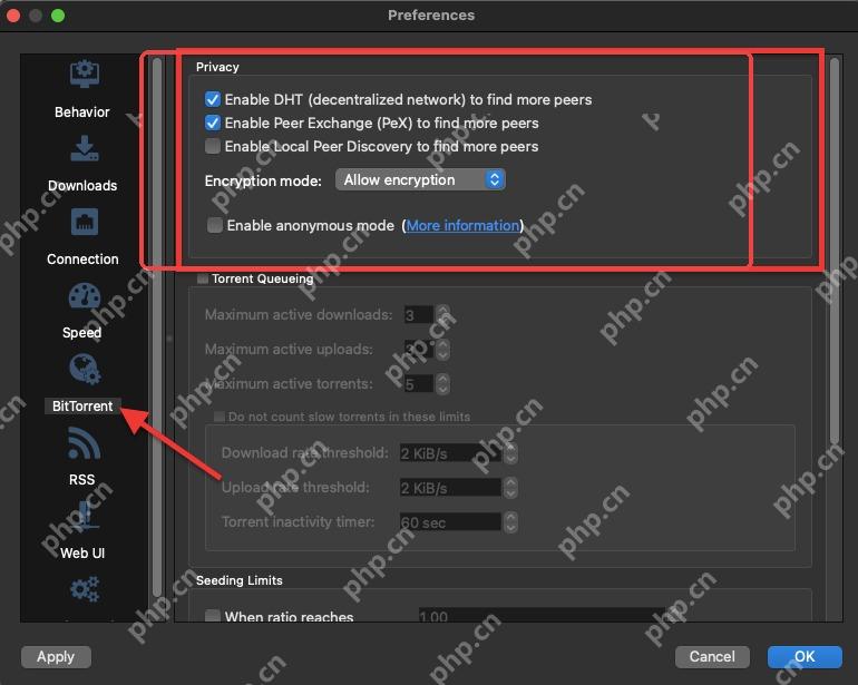 qBittorrent BitTorrent 页 Privacy 区域