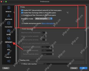qBittorrent BitTorrent 页 Privacy 区域