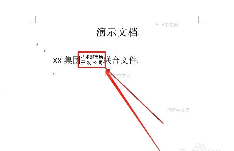 Word文档中双行合一文字完成后的排版效果