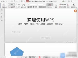 PDF如何设置PDF文件自动翻滚页面? 第3步
