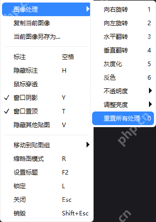 Windows 中文 PixPin 图像贴图右键菜单展开图像处理子菜单,显示灰度化、反色、调整亮度和重置所有处理等选项,证明识别前可以先做图像预处理