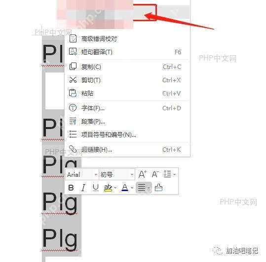 Word选项对话框校对选项卡界面