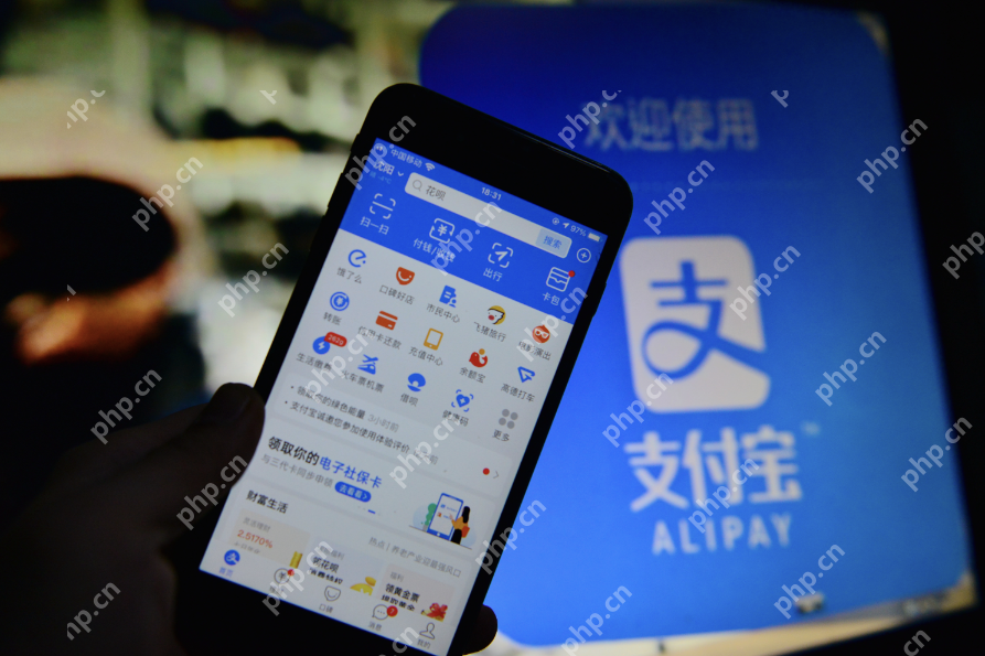 支付宝怎么查个人征信？支付宝查个人征信教程 - php中文网