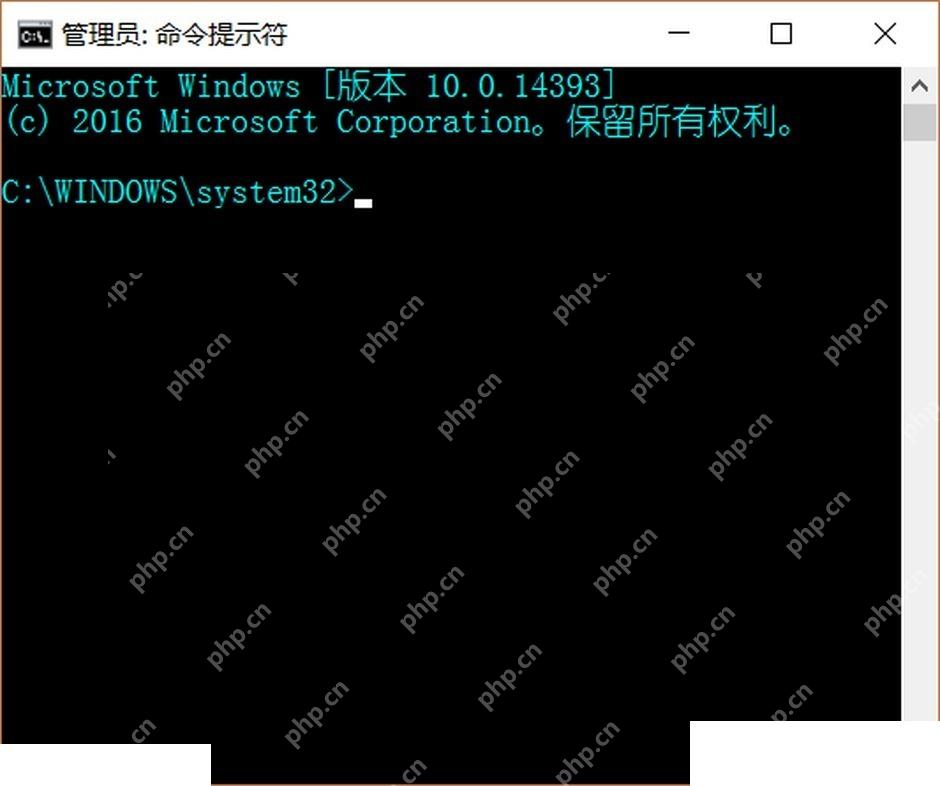 Win11 管理员命令窗口准备查看网络路由