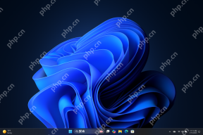 Windows 11 深色模式桌面和开始菜单效果