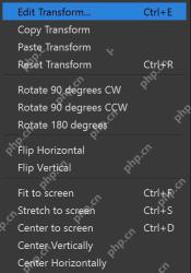 OBS Studio Transform 菜单显示 Fit to screen 用于裁剪后适配画布