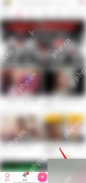 哔哩哔哩我的页里的关注入口