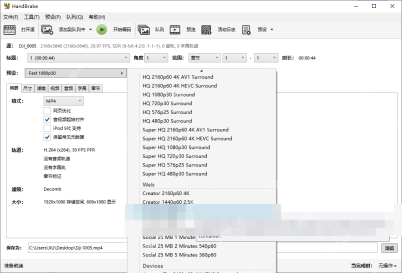 HandBrake Windows 桌面端界面,展示音频设置与本步骤涉及的控件