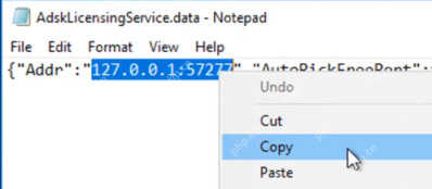 Windows Services 中 Autodesk Desktop Licensing Service 状态截图,证明许可超时时要先检查 Desktop Licensing Service 是否正常运行。