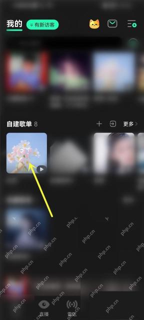 QQ音乐怎么将歌单分享给微信好友