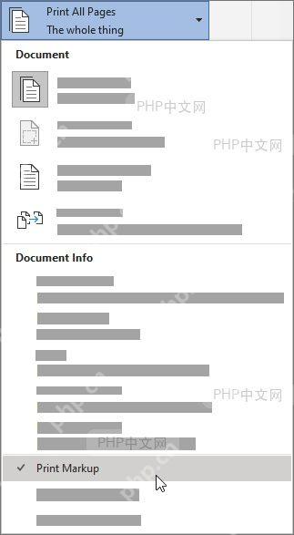 Word 打印设置中 Print Markup 仍被勾选,用于检查打印或导出时是否会带出审阅标记