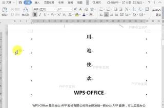 WPS如何显示/隐藏段落布局按钮？结果检查