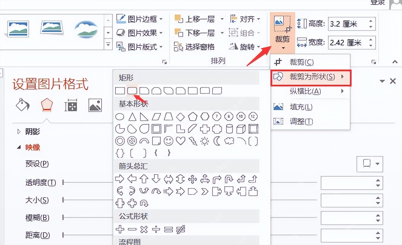 PowerPoint 图片格式裁剪菜单和透明度窗格同时显示图片处理入口