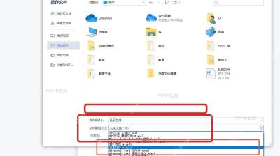 WPS 另存文件窗口中文件类型落到文本文件用于确认异常来源
