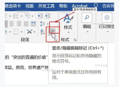 WPS 文档中打开图片插入入口的界面