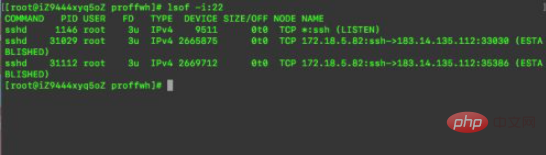 How to check port occupancy in Linux