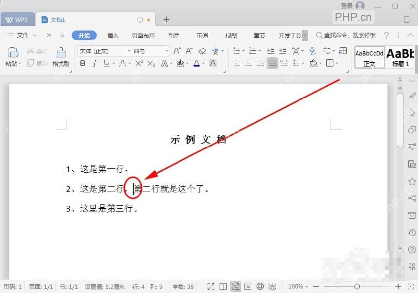 WPS 文字文档中光标停在需要插入双行合一内容的位置