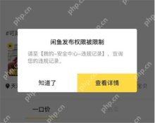 发布权限限制弹窗提示查看违规记录_闲鱼商品没有曝光量怎么回事_闲鱼商品曝光异常检查方法 - php中文网