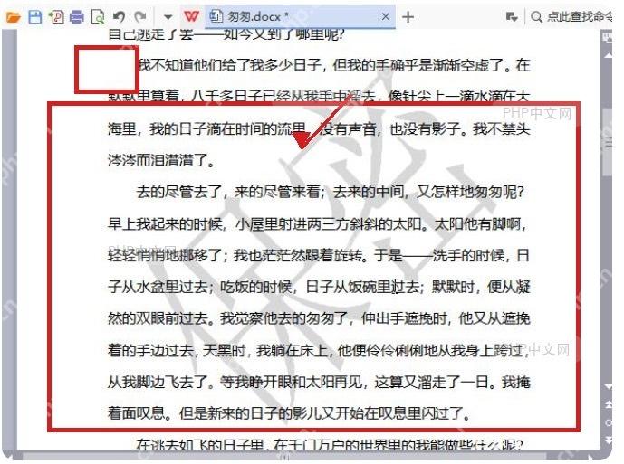 WPS 文档页面中已经添加文字水印后的显示效果