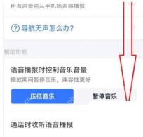 高德地图语音设置入口