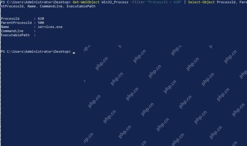 用 PowerShell 读取父进程 PID